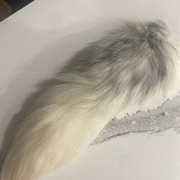 Fox Tail Keychain - Picture 1 of 3